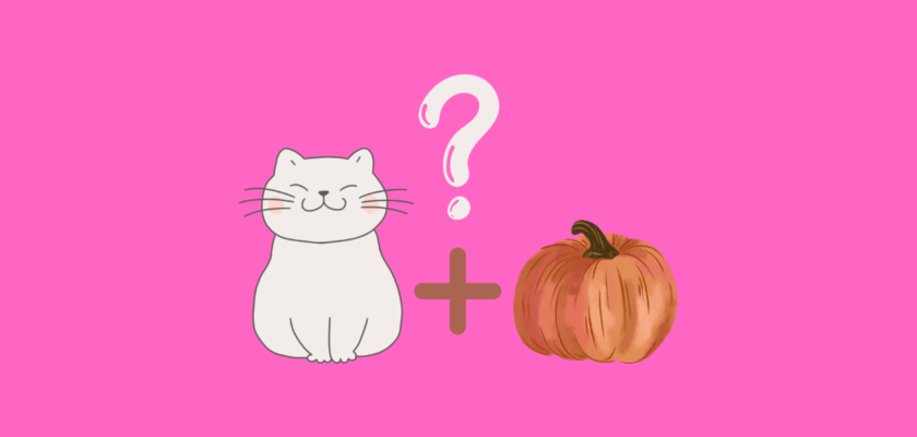 can cats eat pumpkin