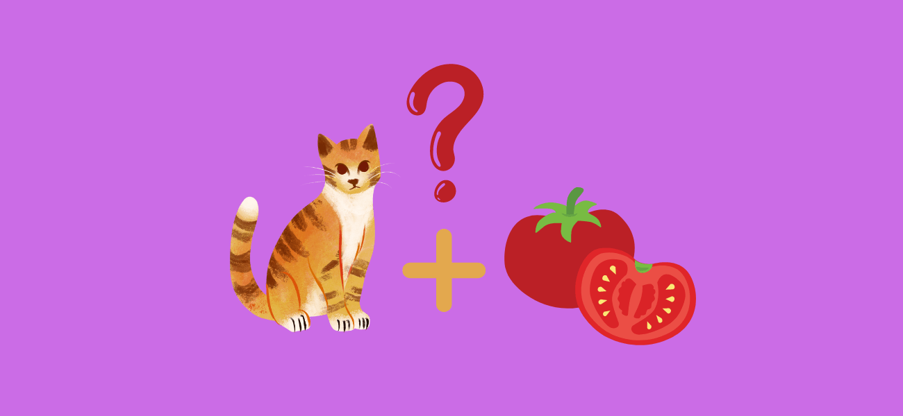 Can Cats Eat Tomatoes? Is Tomato Sauce Bad?