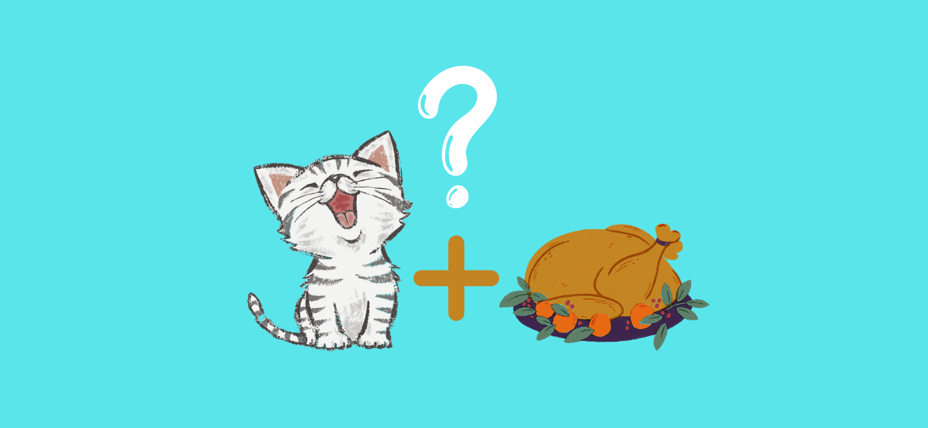 Can Cats Eat Turkey? ? PetsTime