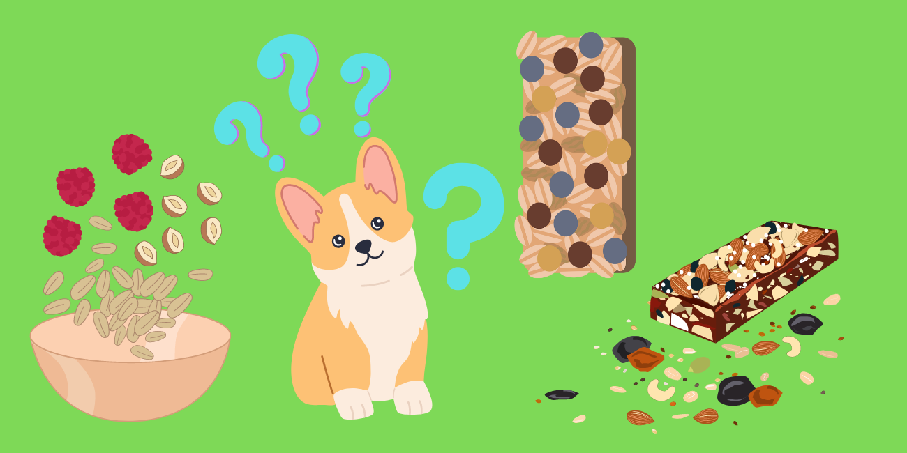 Can Dogs Eat Granola? Are Granola Bars Safe for Dogs? PetsTime