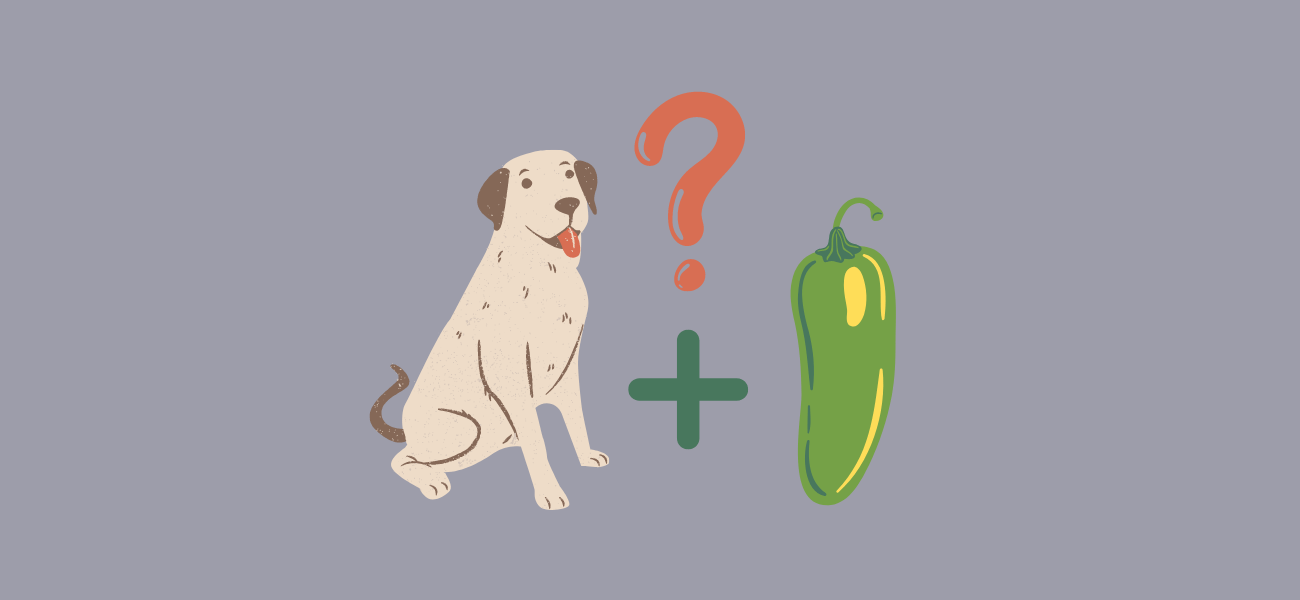 Can Dogs Eat Jalapenos? PetsTime