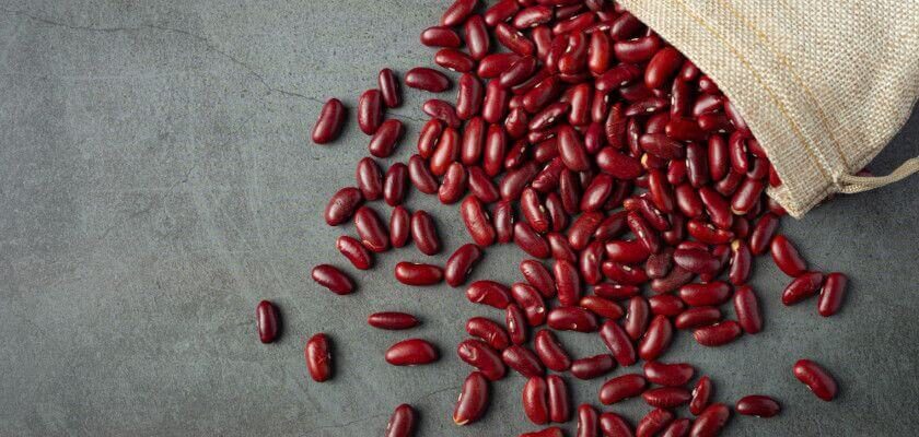 can dogs eat kidney beans
