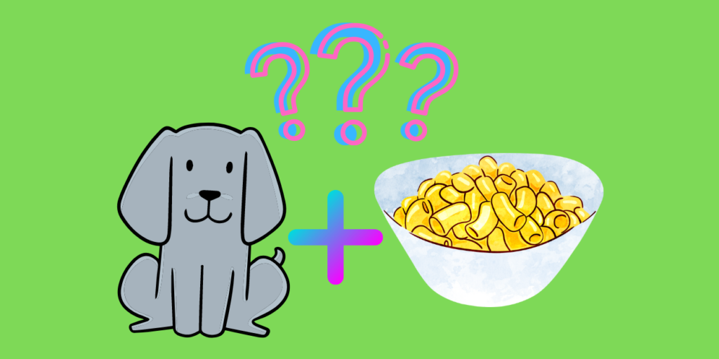 Can Dogs Eat Mac and Cheese? Is It Good for Dogs? PetsTime