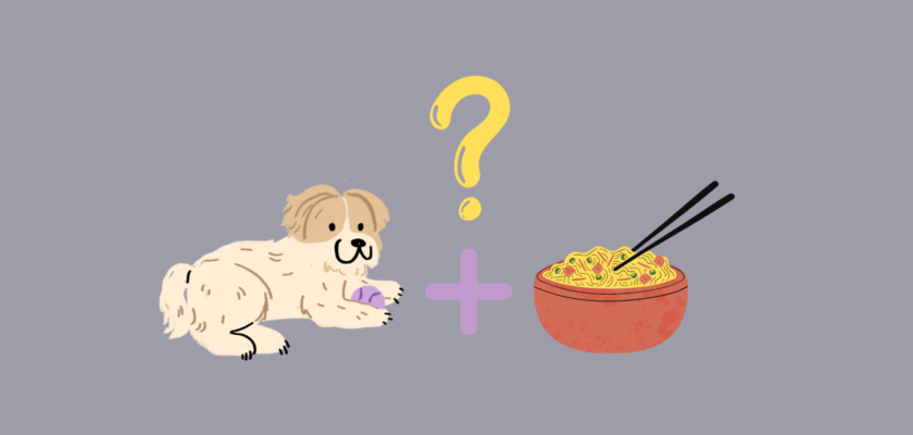 can dogs eat noodles