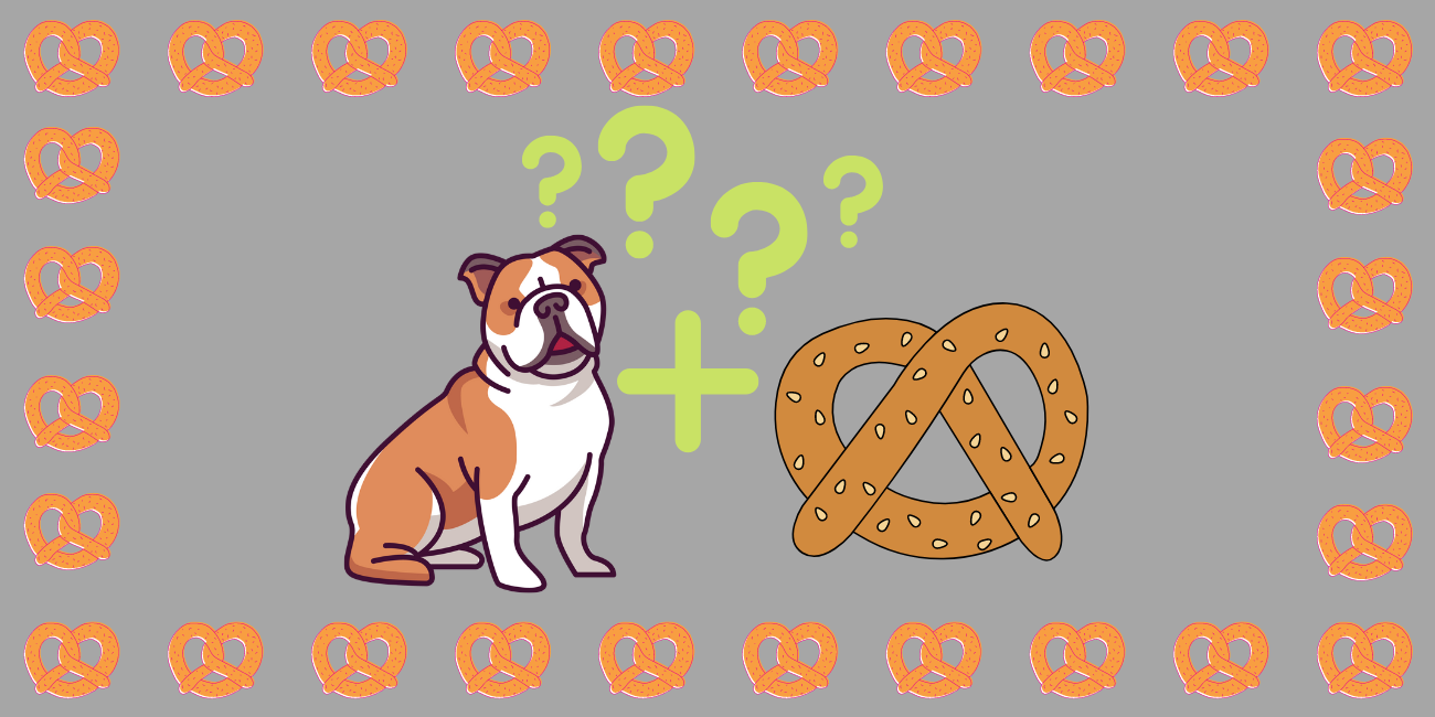 Can Dogs Eat Pretzels? Are Pretzels Bad for Dogs? PetsTime