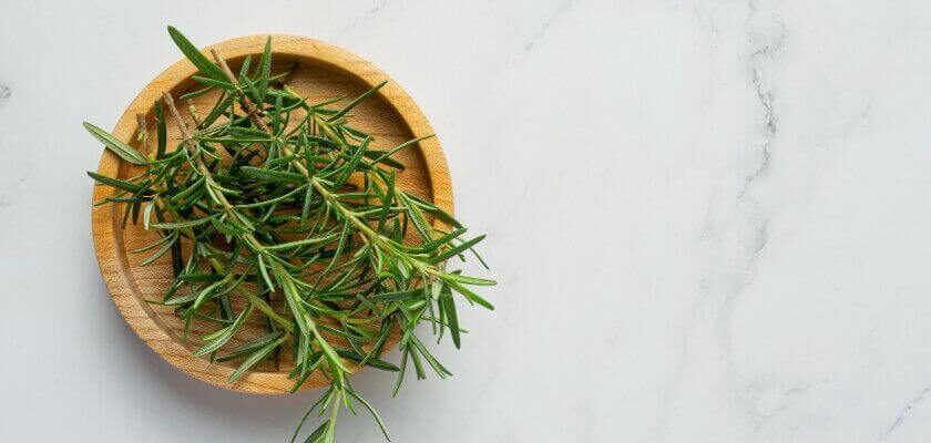 can dogs eat rosemary