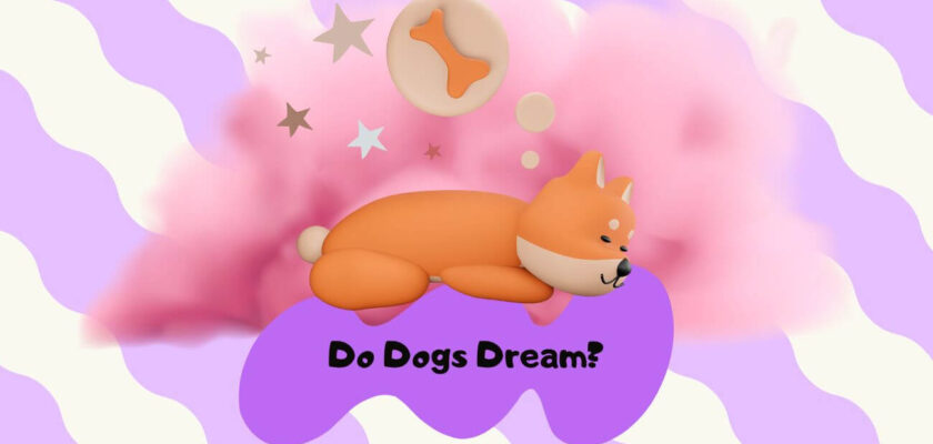 do dogs dream