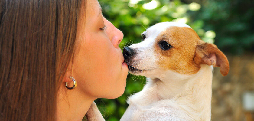 do dogs like kisses