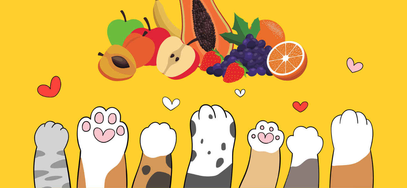 What Fruits Can Cats Eat Human Food Safe For Cats what-fruits-can-cats-eat-human-food-safe-for-cats