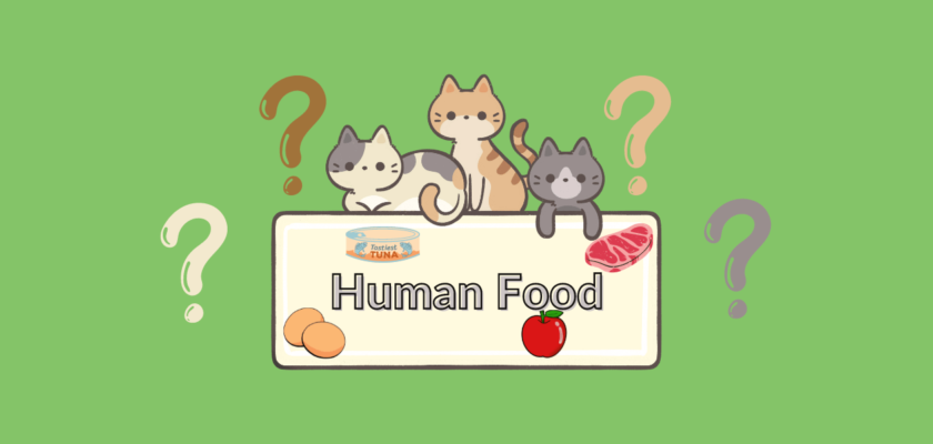 what human food can cats eat