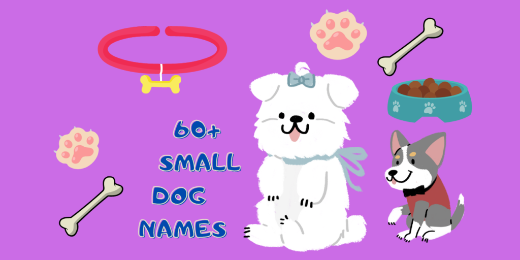 360-cute-small-dog-names-for-girl-and-boy-dogs-with-meanings