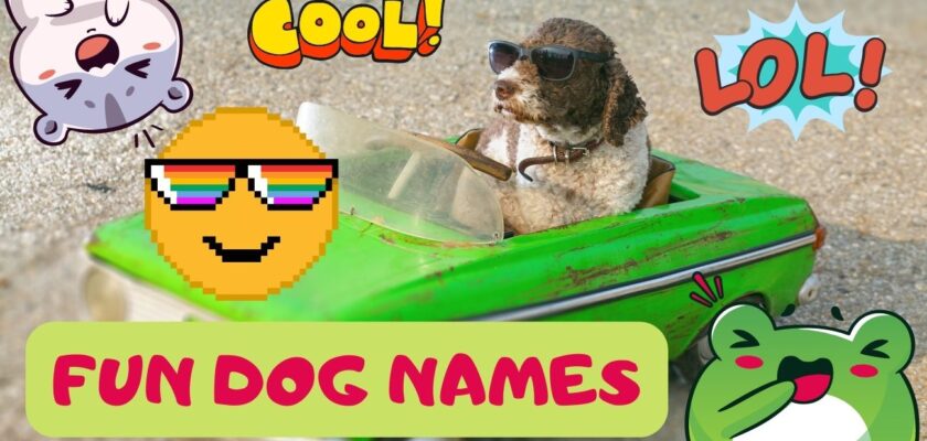 Fun dog names