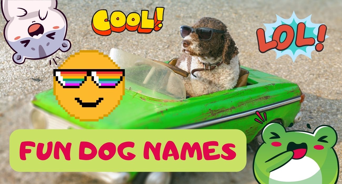 Fun Dog Names That Will Make You Laugh. A Clever List PetsTime