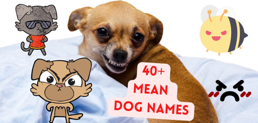 Mean dog names