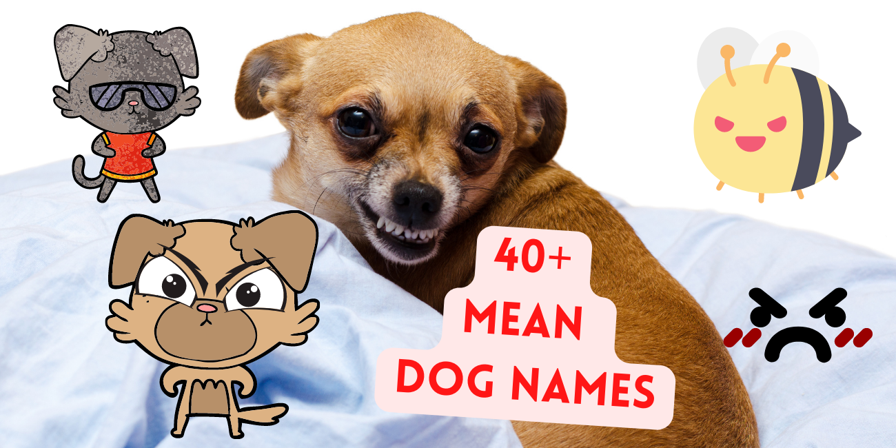 mean-dog-names-for-guard-dogs-petstime