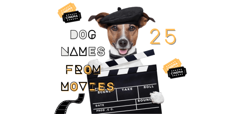dog names from movies