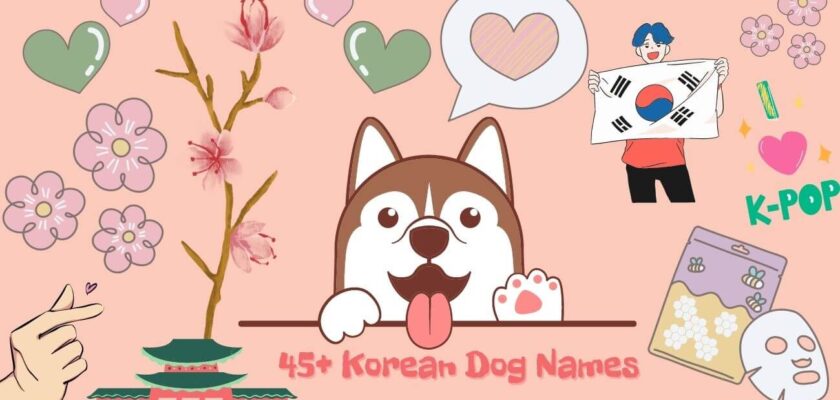 Korean dog names