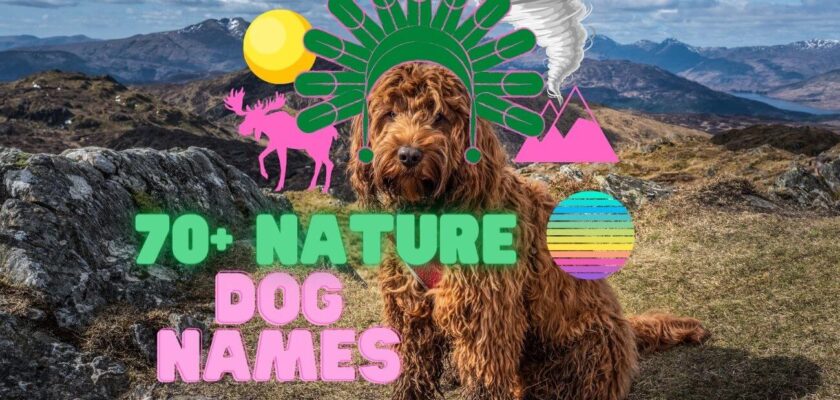 nature dog names
