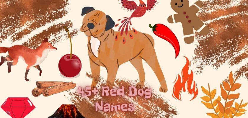 red dog names