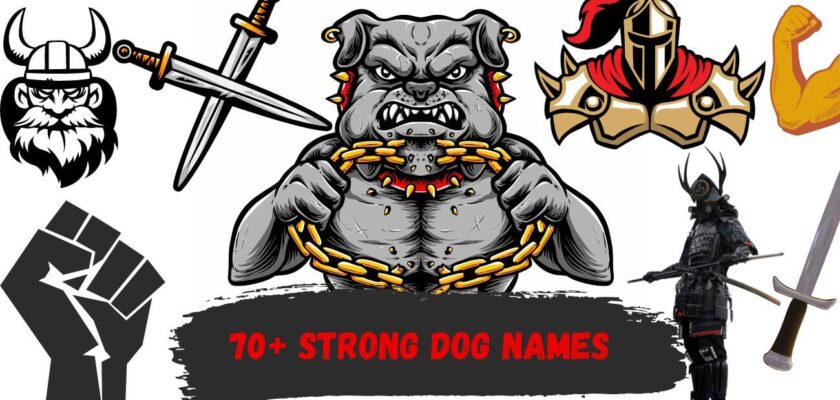 strong dog names