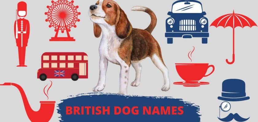 British dog names