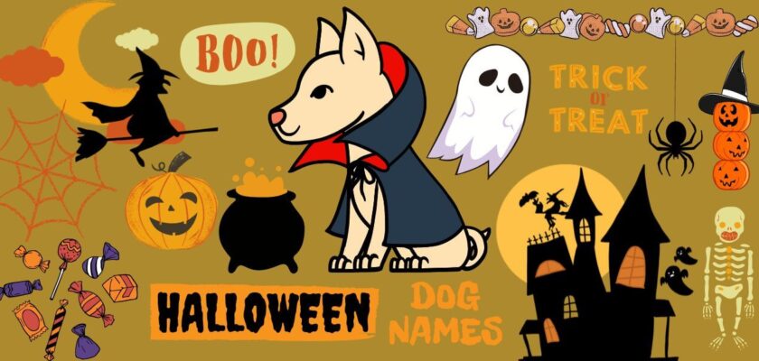 halloween dog names
