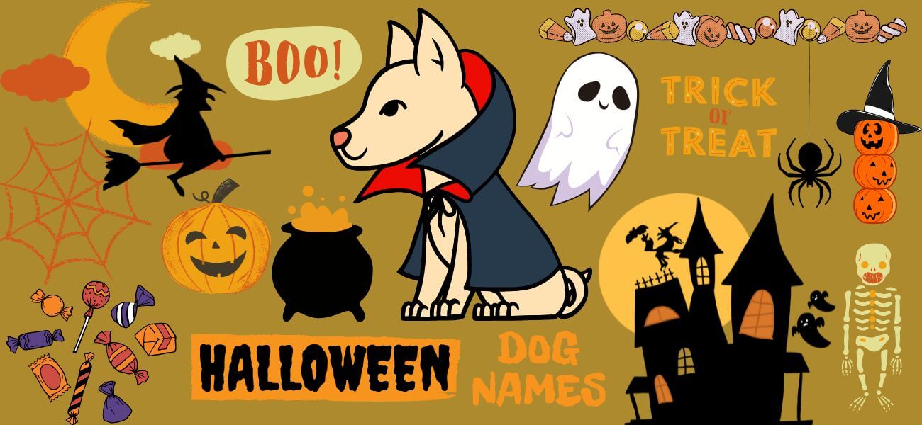 206 Halloween Dog Names for Spooky Pups