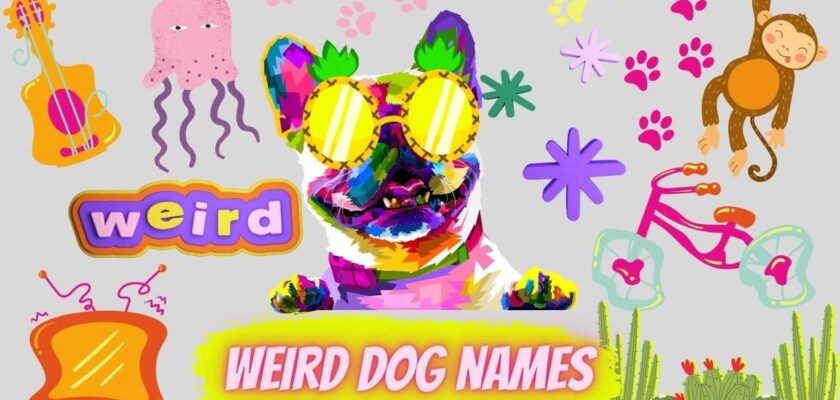 weird dog names
