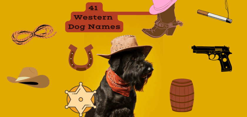 western dog names