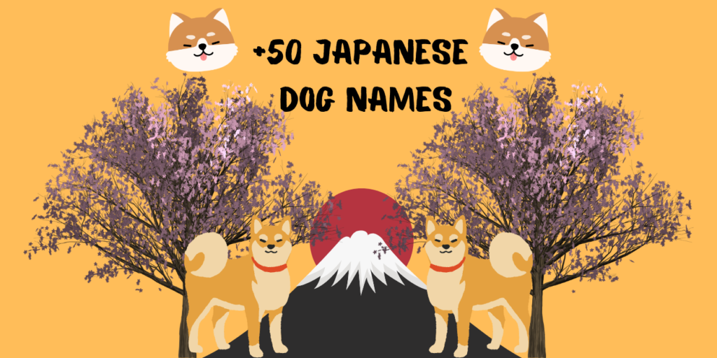 japanese-dog-name-ideas-petstime