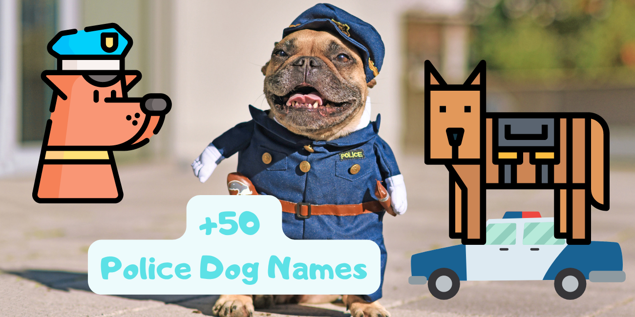 police-dog-names-names-for-courageous-puppies