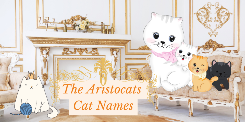 Aristocats Cat Names Perfect for Your Kitten - PetsTime