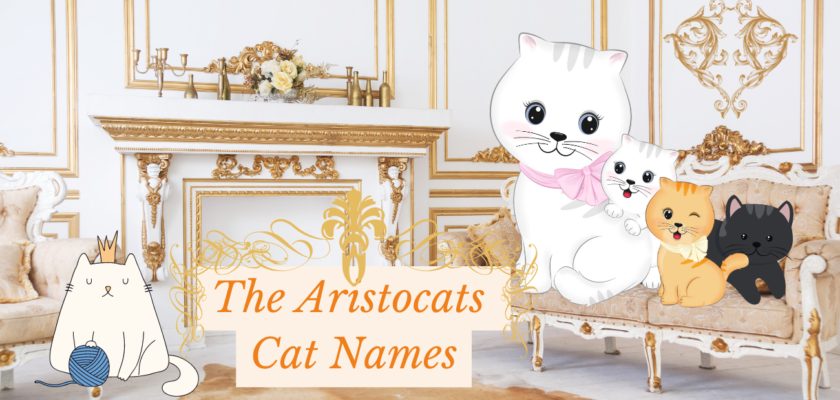 The Aristocats Cat Names