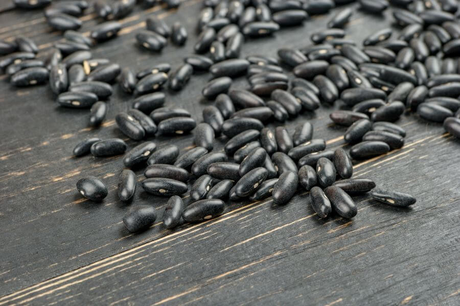 Can Dogs Eat Black Beans - Why Black Beans Are Good for Dogs