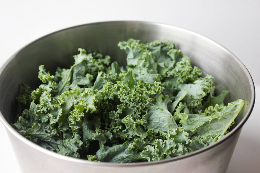Can dogs eat kale - Is Kale Harmful to Dogs?