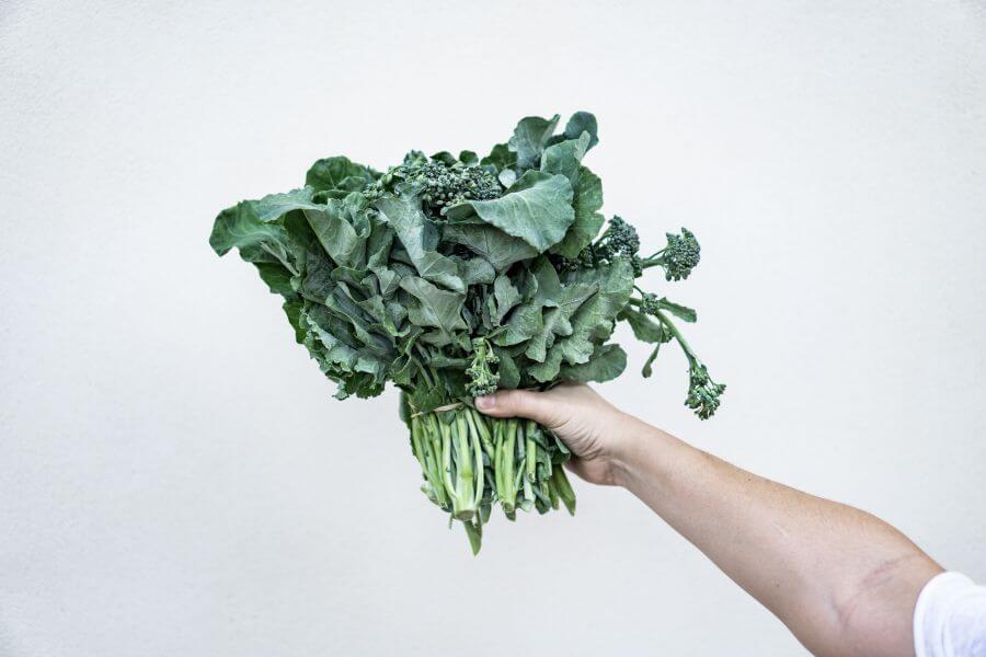 Can dogs eat kale - Kale for Dogs – Raw or Cooked?