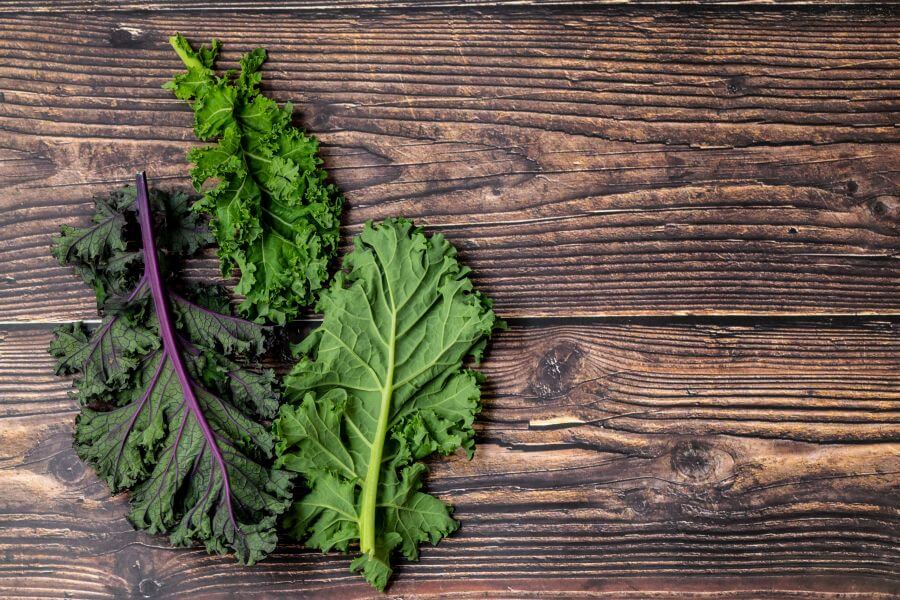 Can dogs eat kale - What to Do If Your Dog Ate Kale?