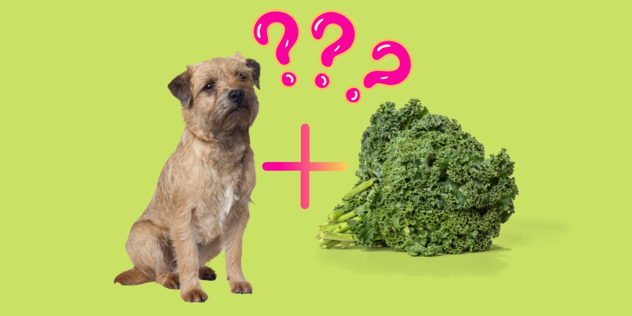 is raw kale safe for dogs