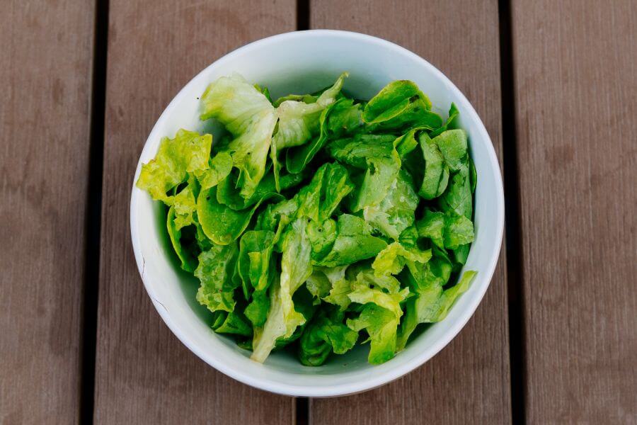 Can Dogs Eat Lettuce - The Cons of Feeding Lettuce to Dogs