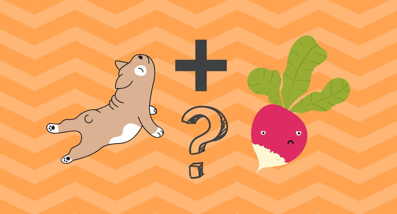 Can Dogs Eat Radishes? Raw Vegetables for Dogs PetsTime