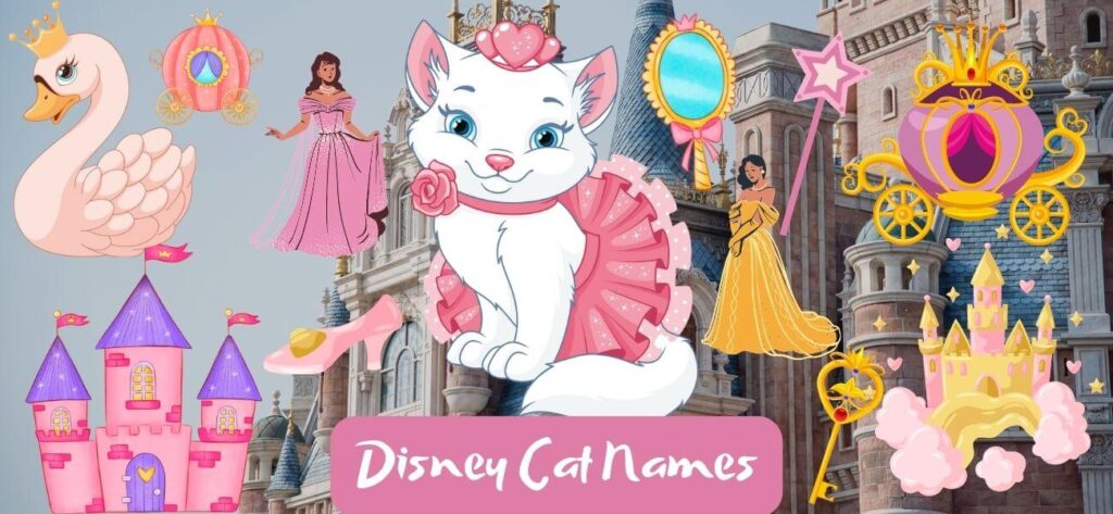 disney-cat-names-ideas-for-your-pet-petstime