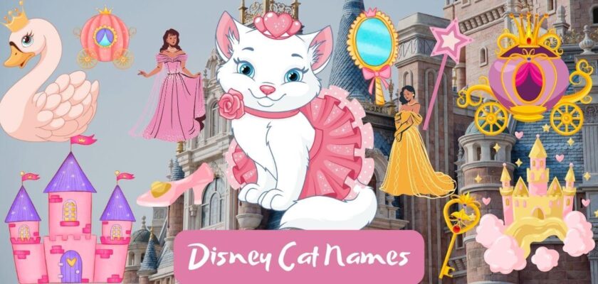 disney cat names