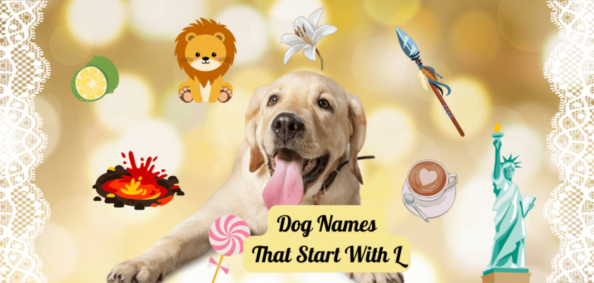 dog names that start with l