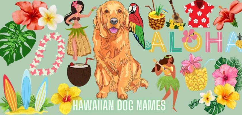 hawaiian dog names