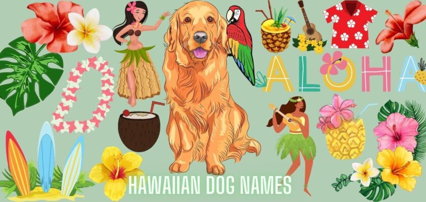 hawaiian-dog-names-male-and-female-ideas-petstime