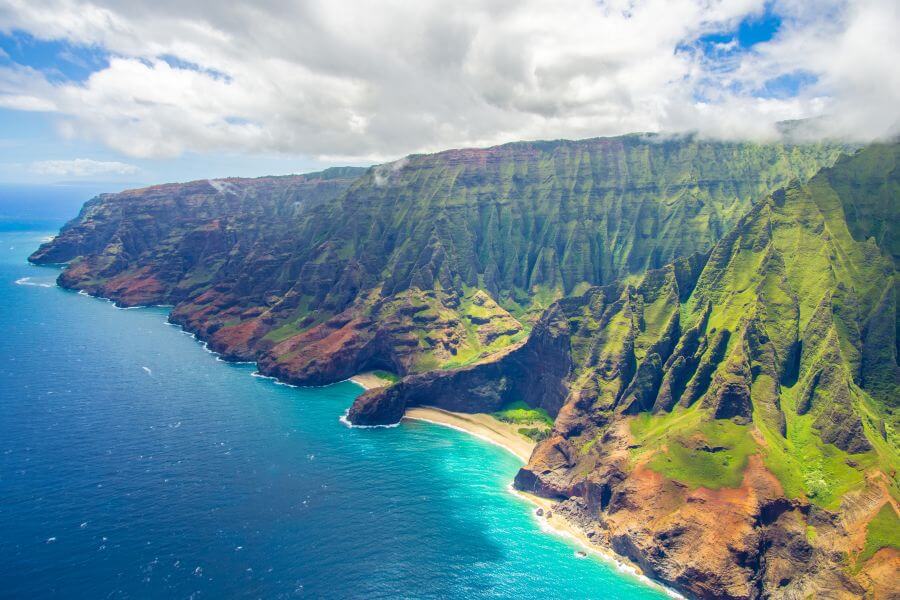 Hawaiian Dog Names - About Hawaii