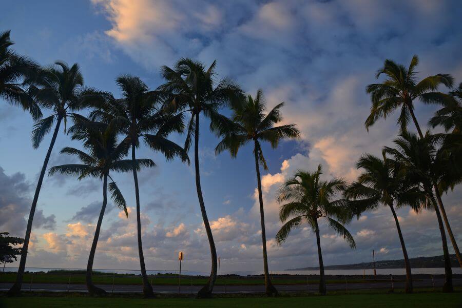 Hawaiian Dog Names -Hawaiian Goddess Female Dog Names