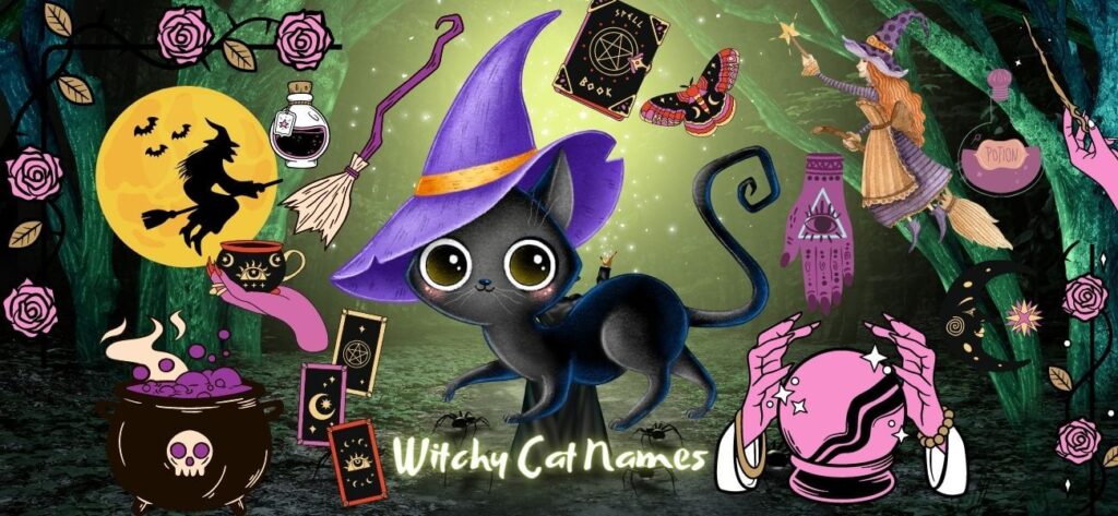 50-witchy-cat-names-inspired-by-films-and-series-petstime