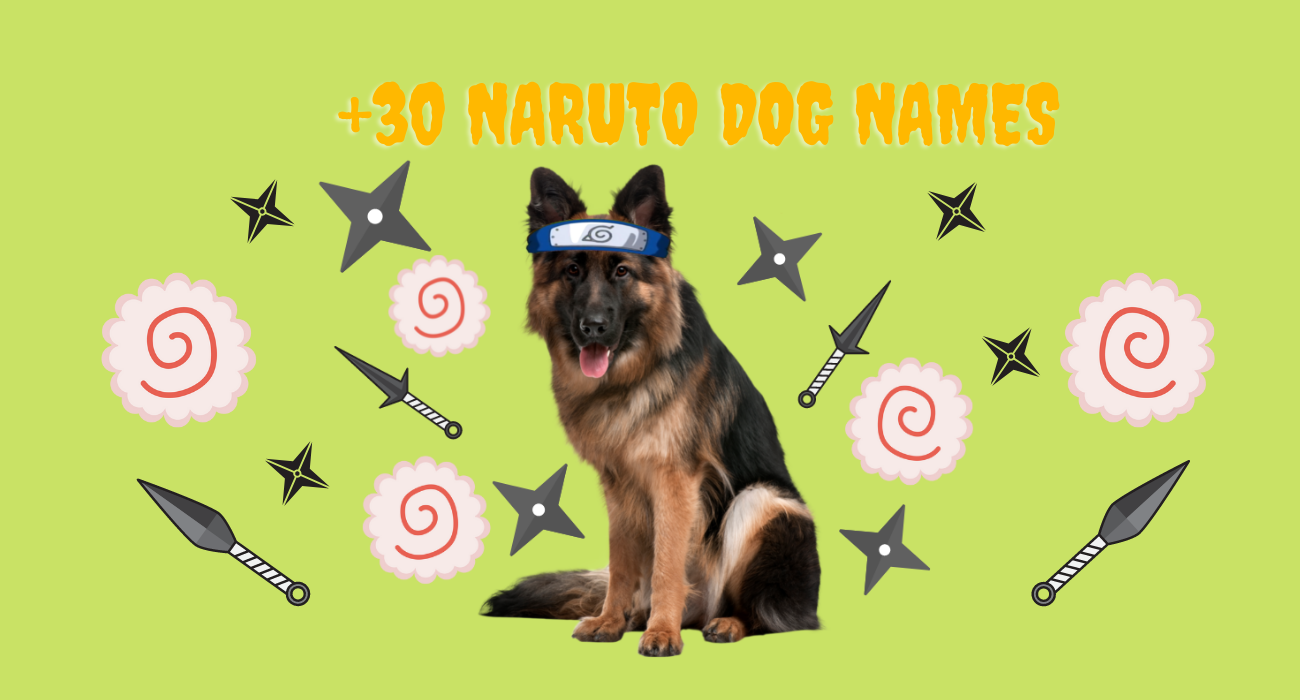 naruto-dog-name-ideas-petstime