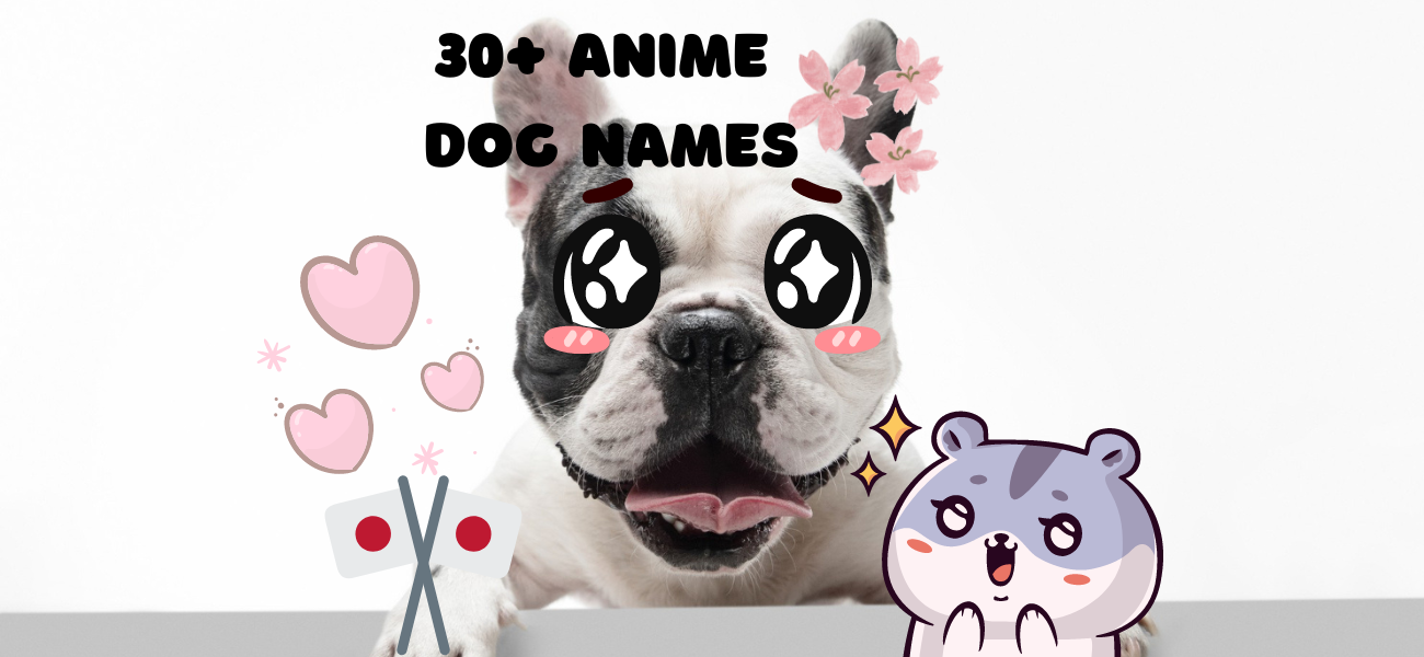 Anime Dog Names – 30+ Name Ideas for Your Canine - PetsTime